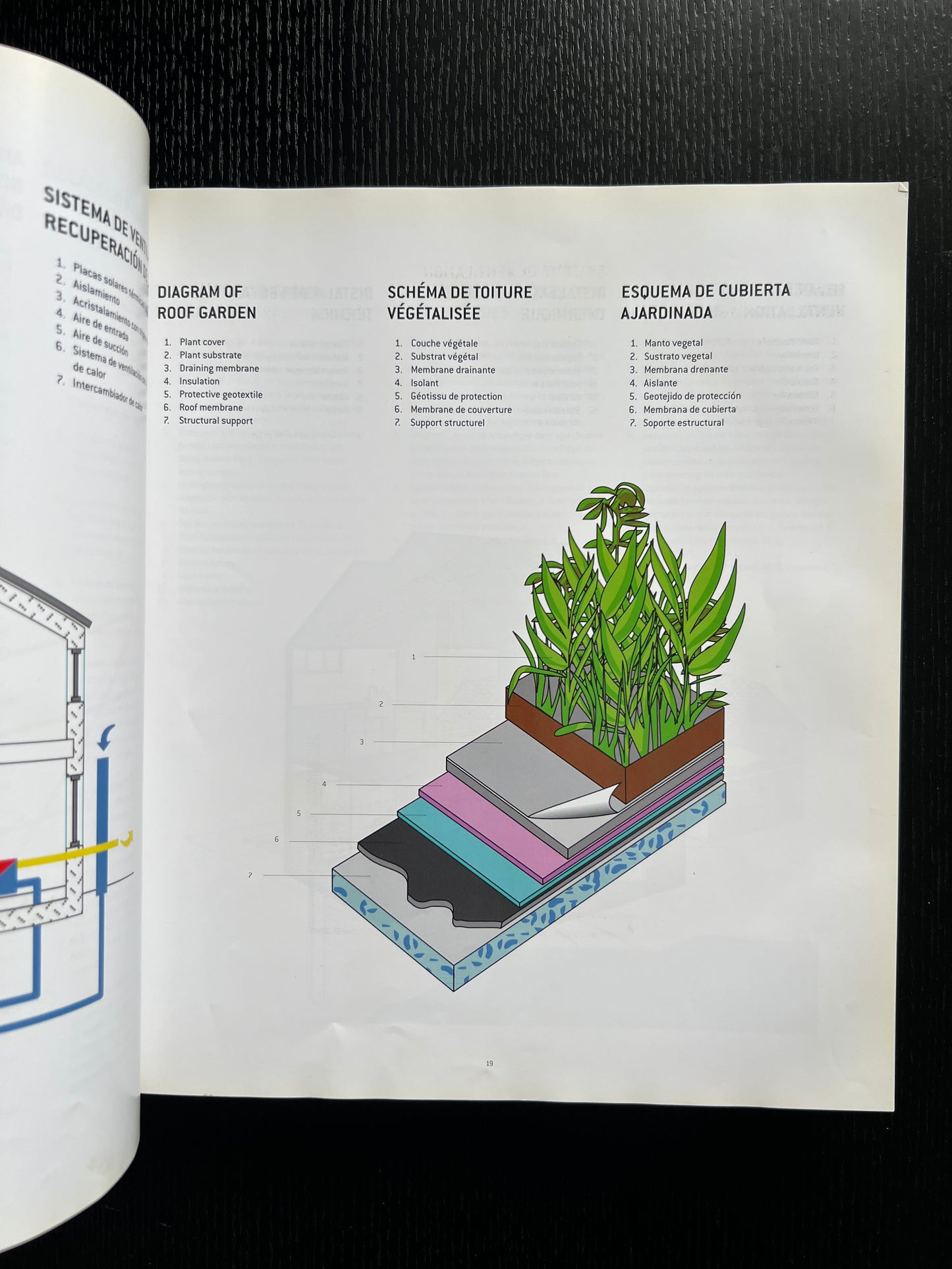 Visual Tips for Eco Living: A Practical and Inspirational Guide