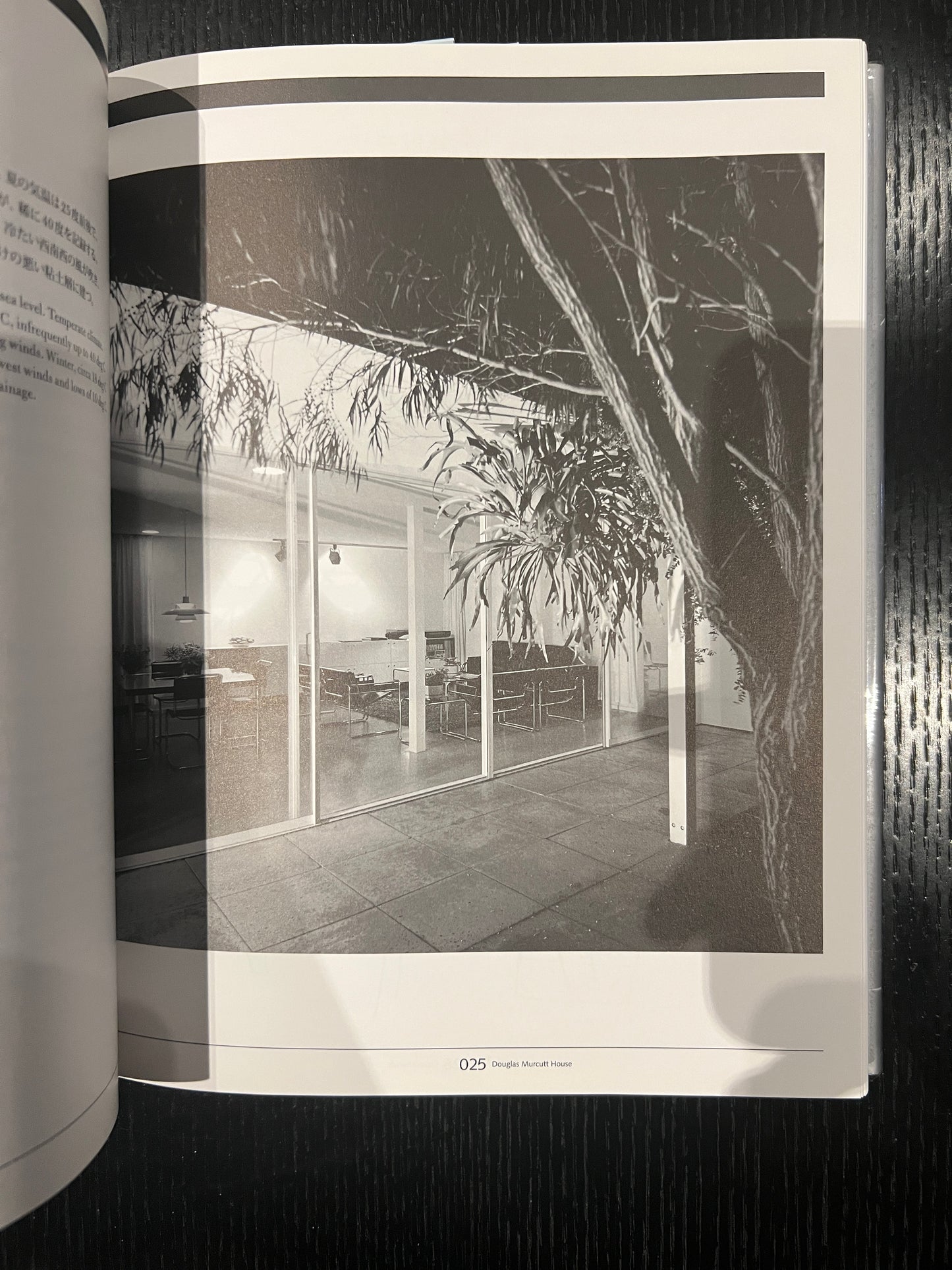 Glenn Murcutt: Thinking Drawing / Working Drawing