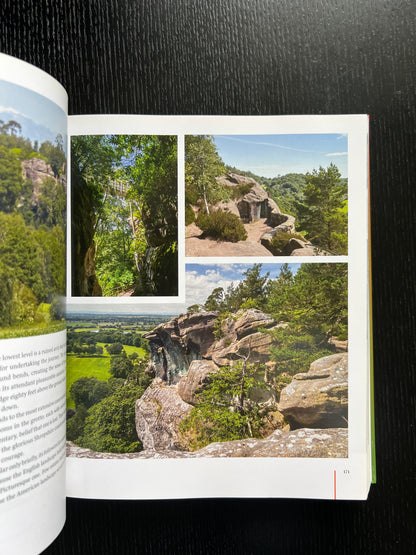 The History of Landscape Design in 100 Gardens by Linda A. Chisholm
